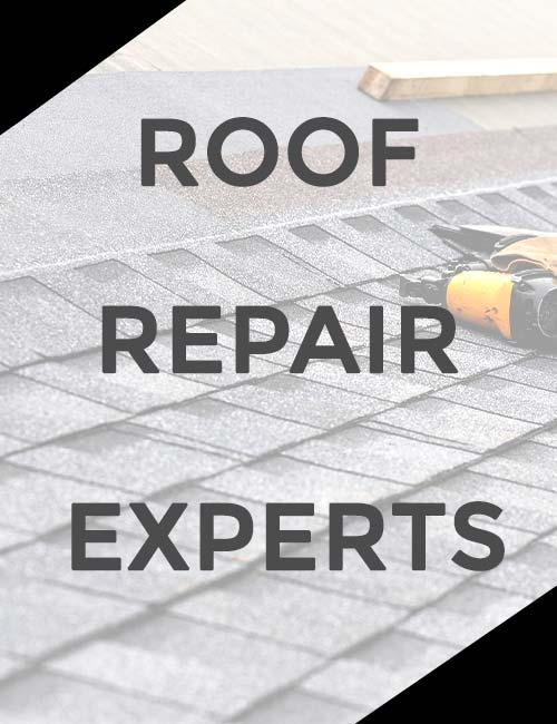 Revamped Roofing Images